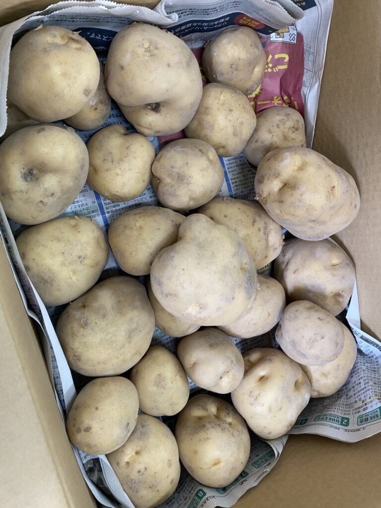 お客様にいただきました