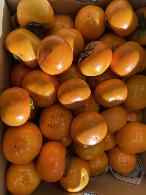お客様から美味しい柿をいただきました