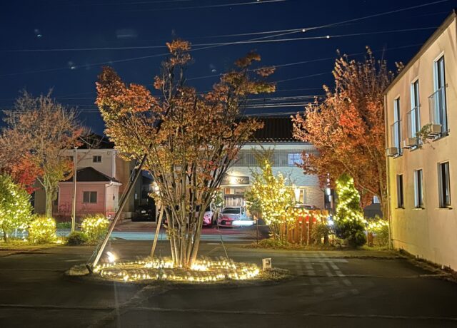 イルミネーション設置しました。